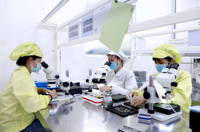 Chuyên gia: Cần tái định vị nền kinh tế để tăng giá trị xuất khẩu